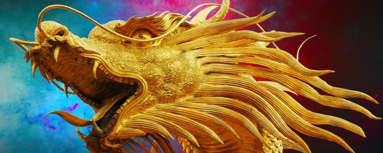 Donec elit libero sodales nec