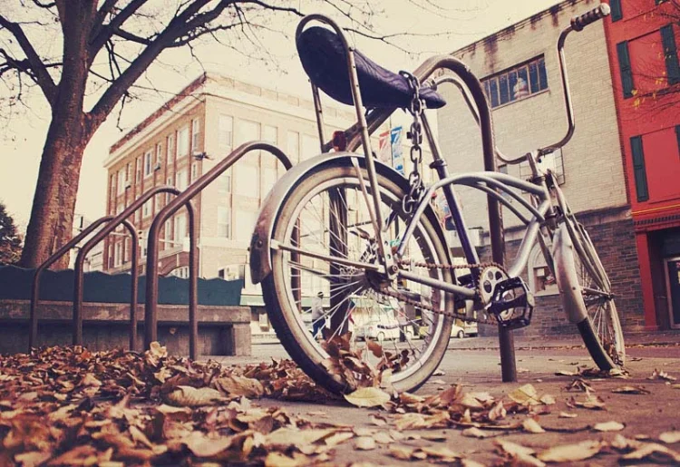 Etiam feugiat lorem non metus